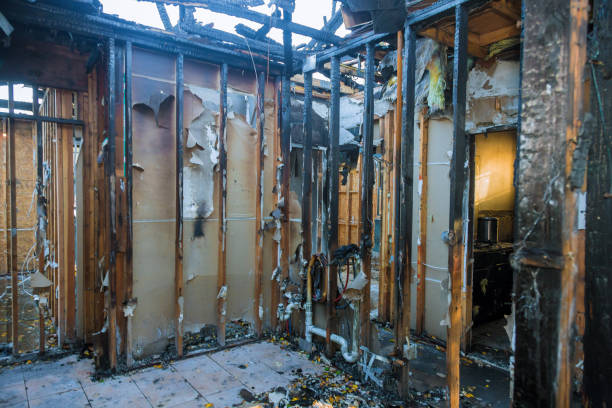 Professional Fire Damage Assessment technician working in Albion, NE